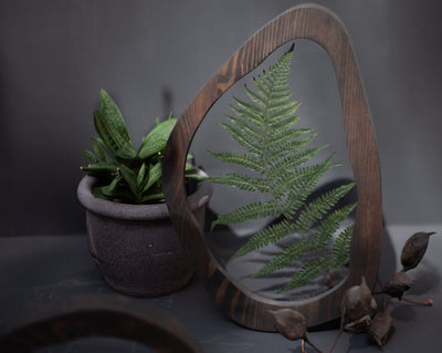 Pressed flower art - Evergreen fern