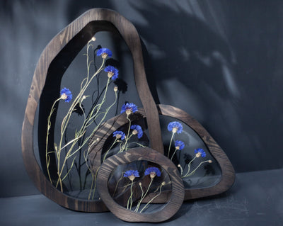 Pressed flower art - Cornflower whispers