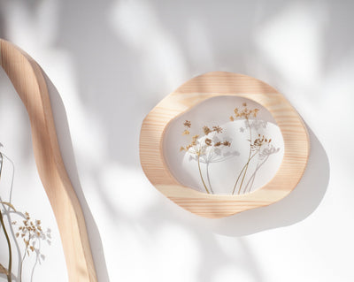 Pressed flower art - Dill Blossom