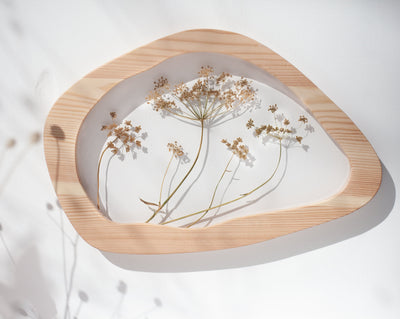 Pressed flower art - Dill Blossom