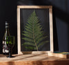 Herbarium frame 13x18" - Big Fern - Emerald Rabbit