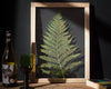 Herbarium frame 13x18" - Big Fern - Emerald Rabbit