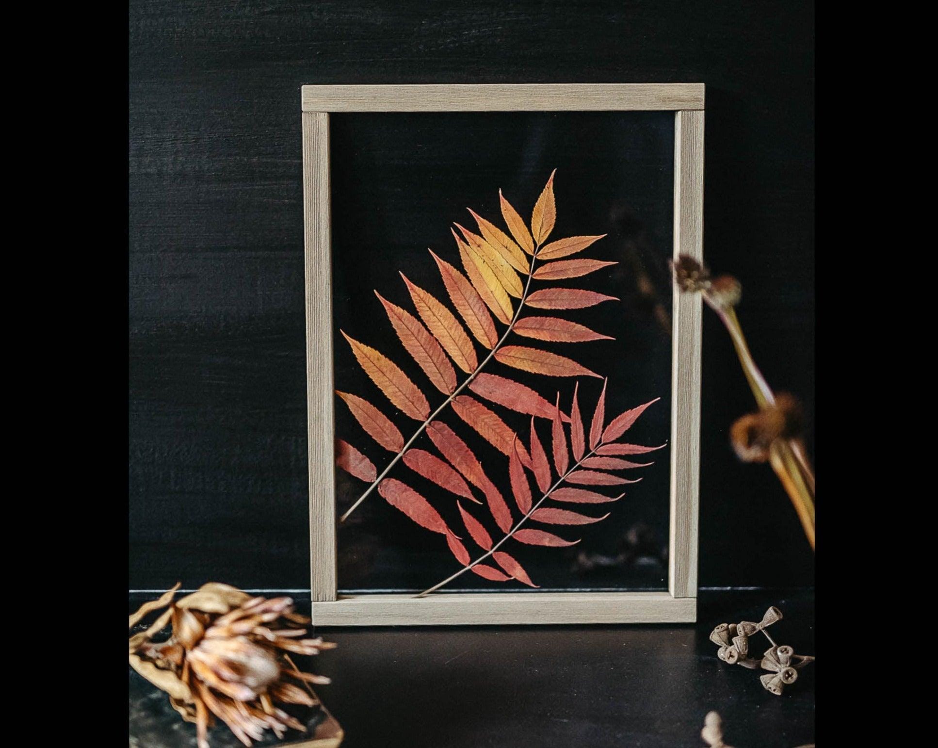 Herbarium frame 13x18" - Autumn sumac leaves - Emerald Rabbit