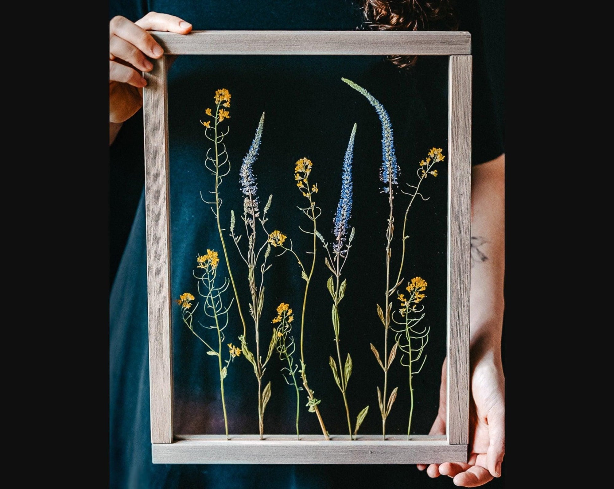 Pressed Flower frame 13x18" - Rapeseed and Veronica - Emerald Rabbit