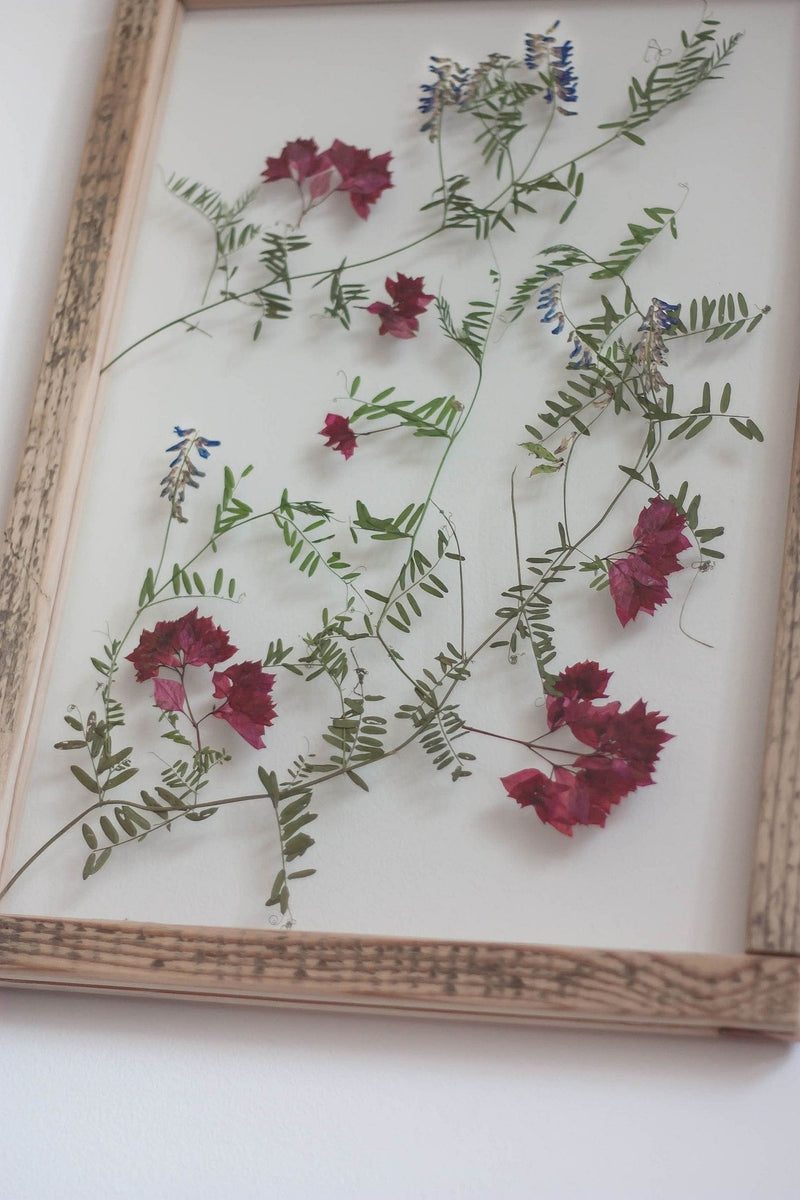 Pressed flowers frame 13x18" - Bougainvillea and Wild baltic Flowers