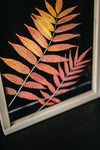 Herbarium frame 13x18" - Autumn sumac leaves - Emerald Rabbit