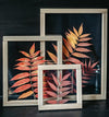 Herbarium frame 13x18" - Autumn sumac leaves - Emerald Rabbit