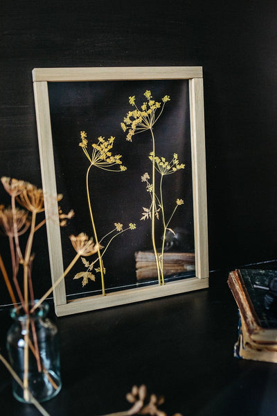 Pressed Flowers frame 13x18" - Dill flowers