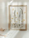 Pressed Flower frame 13x18" - Rapeseed and Veronica - Emerald Rabbit