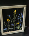 Pressed flowers art 10.5x12.5" - Rapeseed and blue Larkspur - Emerald Rabbit