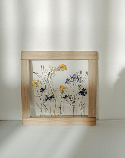 Herbarium frame 8x8" - Rapeseed and wild blue Larkspur - Emerald Rabbit