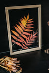 Herbarium frame 13x18" - Autumn sumac leaves - Emerald Rabbit