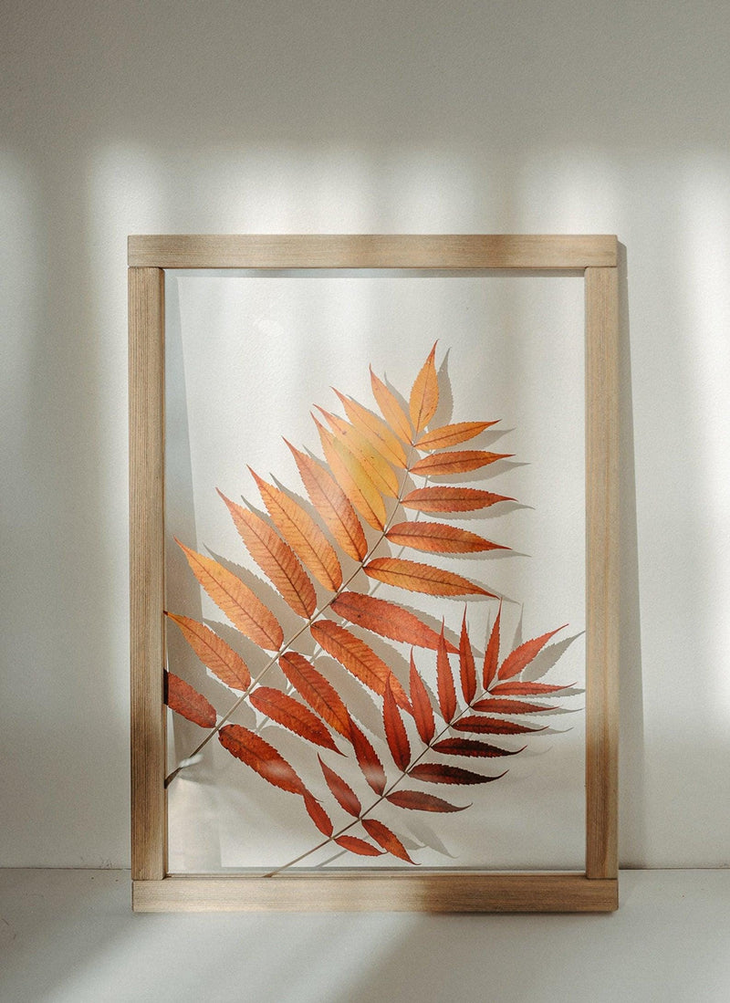 Herbarium frame 13x18" - Autumn sumac leaves - Emerald Rabbit