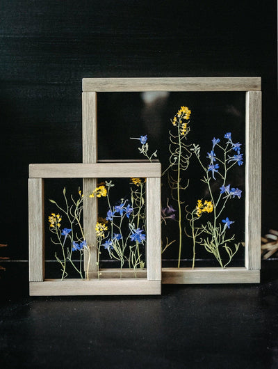 Pressed flowers art 10.5x12.5" - Rapeseed and blue Larkspur - Emerald Rabbit