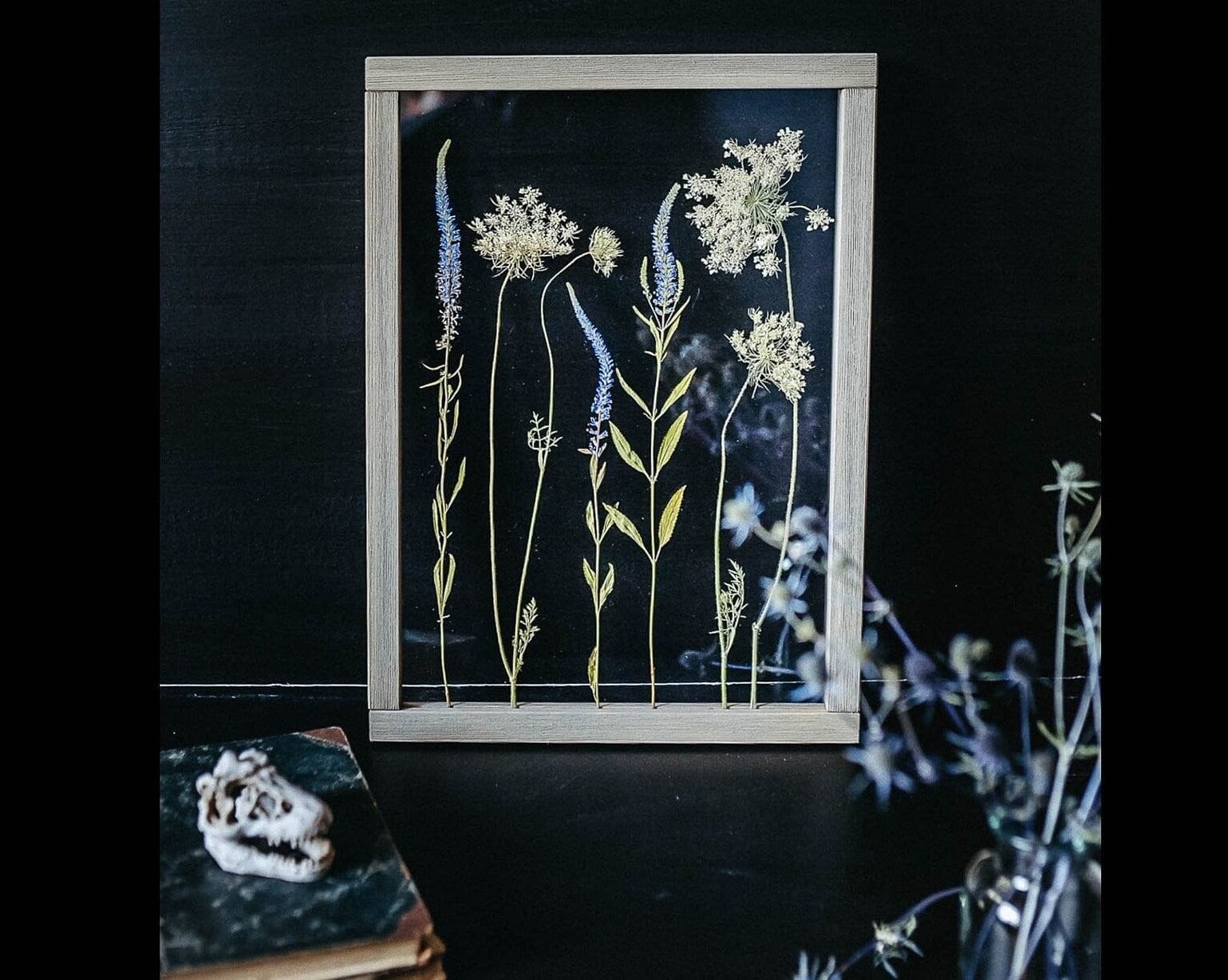 Botanical print, Pressed flowers herbarium specimen dried flower art, –  Eight Acorns Floral Preservation