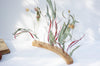 Dried flowers Centerpiece - Sage & Burgundy - Emerald Rabbit