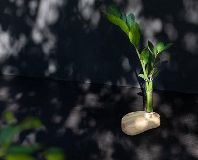 Plant Rooting stands - Oak - Emerald Rabbit