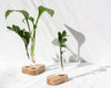 Plant Rooting stands - Oak - Emerald Rabbit