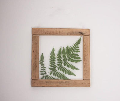 Herbarium frame 8x8" - Magic of Fern - Emerald Rabbit