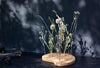 Dried flowers Centerpiece - Eucalyptus & Lavender - Emerald Rabbit