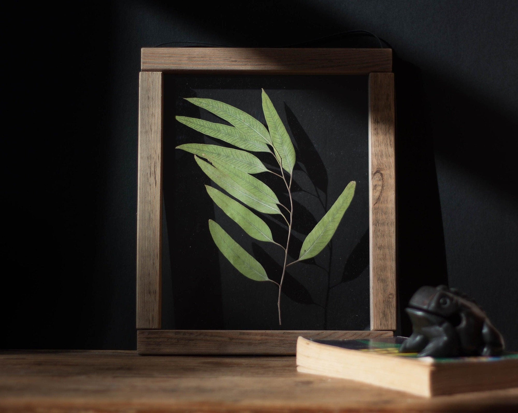 Herbarium frame 10.5x12.5" - Eucalyptus - Emerald Rabbit