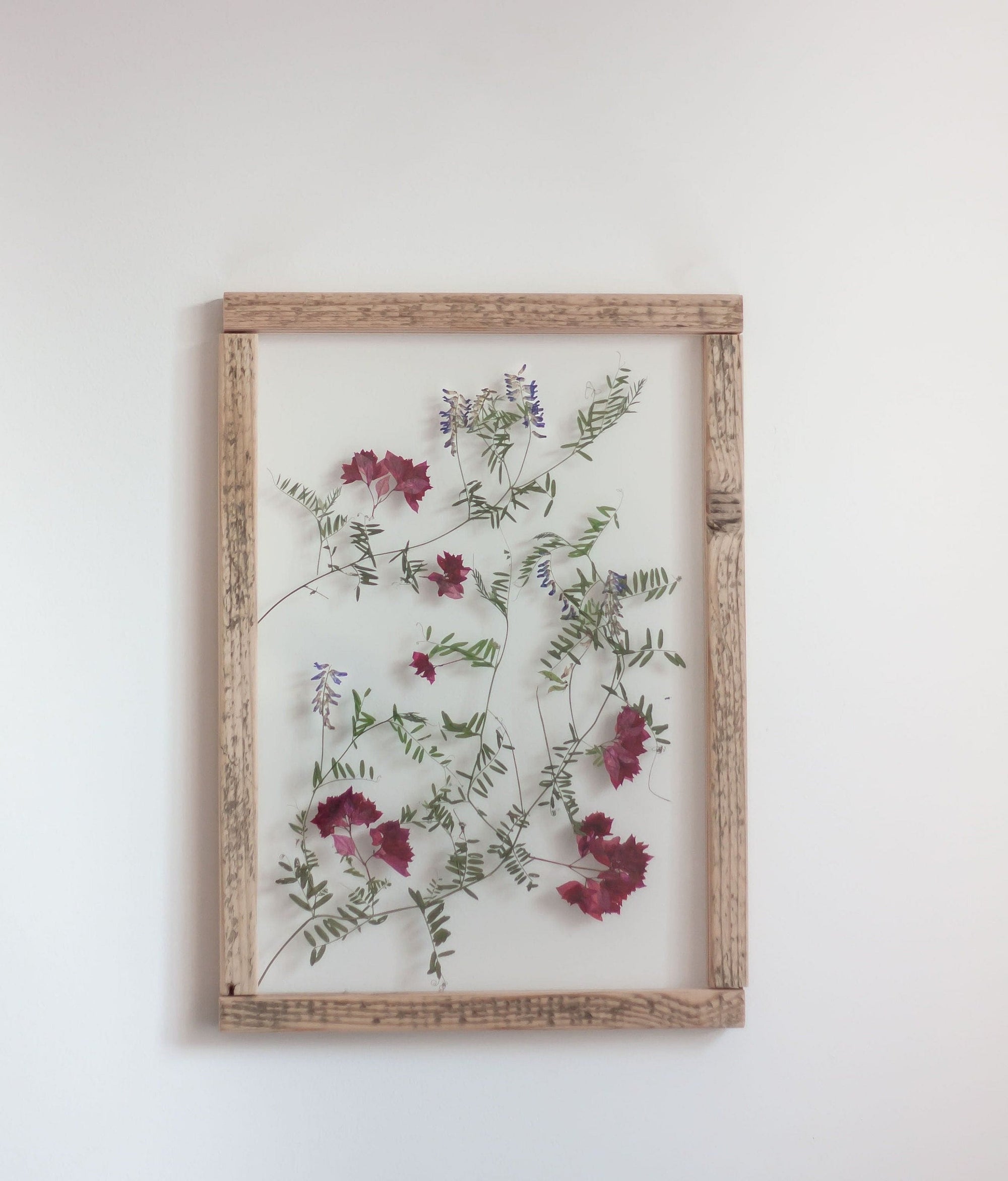 Pressed flowers frame 13x18 - Bougainvillea and Wild baltic Flowers -  Emerald Rabbit