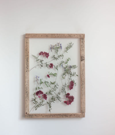 Pressed flowers frame 13x18" - Bougainvillea and Wild baltic Flowers