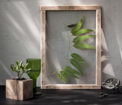 Herbarium frame 13x18" - Eucalyptus - Emerald Rabbit