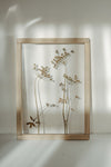 Pressed Flowers frame 13x18" - Dill flowers