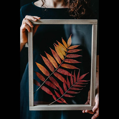 Herbarium frame 13x18" - Autumn sumac leaves - Emerald Rabbit