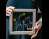 Herbarium frame 8x8" - Rapeseed and wild blue Larkspur - Emerald Rabbit