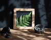 Herbarium frame 8x8" - Magic of Fern - Emerald Rabbit