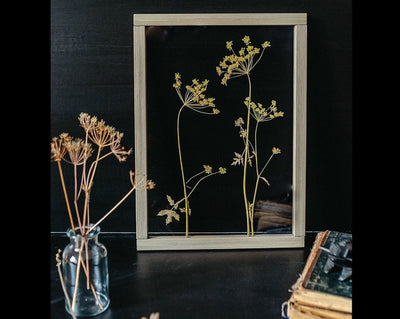 Pressed Flowers frame 13x18" - Dill flowers