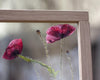 Herbarium frame 8x8" - Poppies - Emerald Rabbit