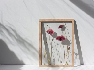 Pressed Flowers art 13x18" - Poppies - Emerald Rabbit