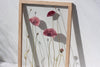 Pressed Flowers art 13x18" - Poppies - Emerald Rabbit