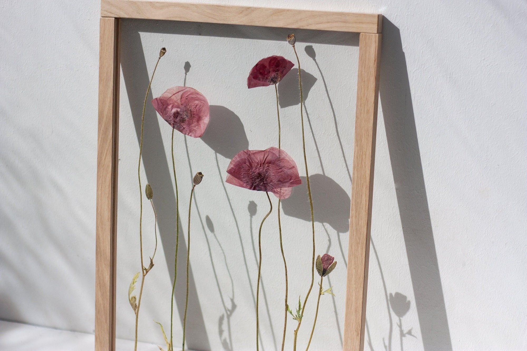 Pressed Flowers art 13x18 - Poppies - Emerald Rabbit