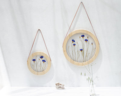 Pressed flower frame d. 9" and 12" - Cornflowers