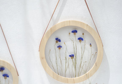 Pressed flower frame d. 9" and 12" - Cornflowers