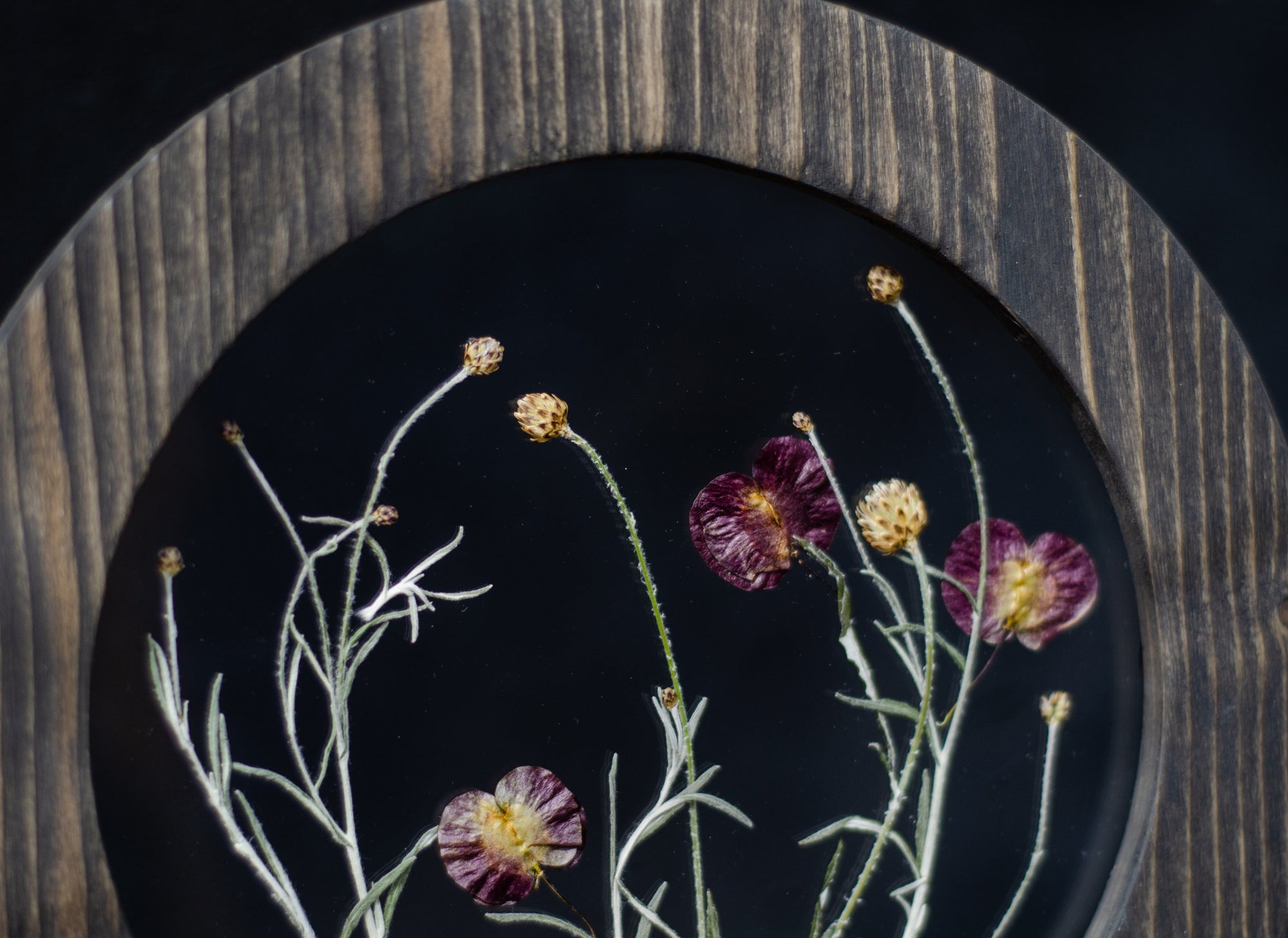 Pressed Flower Frames – Pip & Rose Design