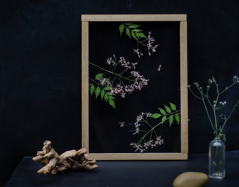 Custom Pressed Flower Frame (Octagon) – forest + fern