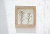 Pressed Flower Art 8x8" - Yarrow flowers