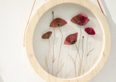 Pressed flower frame d. 9" and 12" - Poppies time