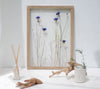 Pressed Flower Frame 13x18" - Cornflowers