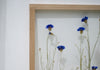 Pressed Flower Frame 13x18" - Cornflowers