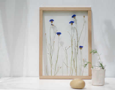 Pressed Flower Frame 13x18" - Cornflowers