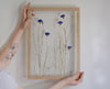 Pressed Flower Frame 13x18" - Cornflowers