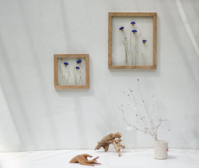 Pressed flowers frame 10.5x12.5" - Cornflowers