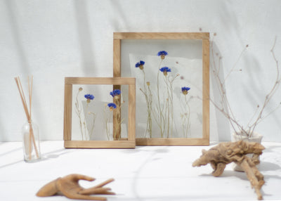 Pressed Flower Art 8x8" - Cornflowers