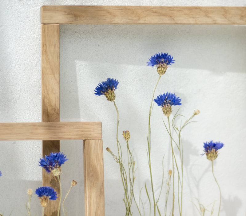 Pressed flowers frame 10.5x12.5" - Cornflowers